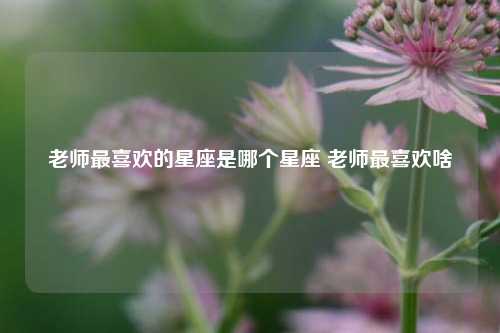 老师最喜欢的星座是哪个星座 老师最喜欢啥