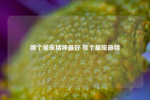 哪个星座精神最好 那个星座最精